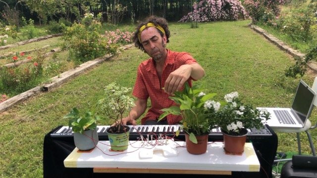 Piano Sound Plants!